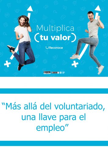 Mas alla del voluntariado